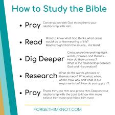 bible study for beginners