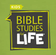 bible studies for life