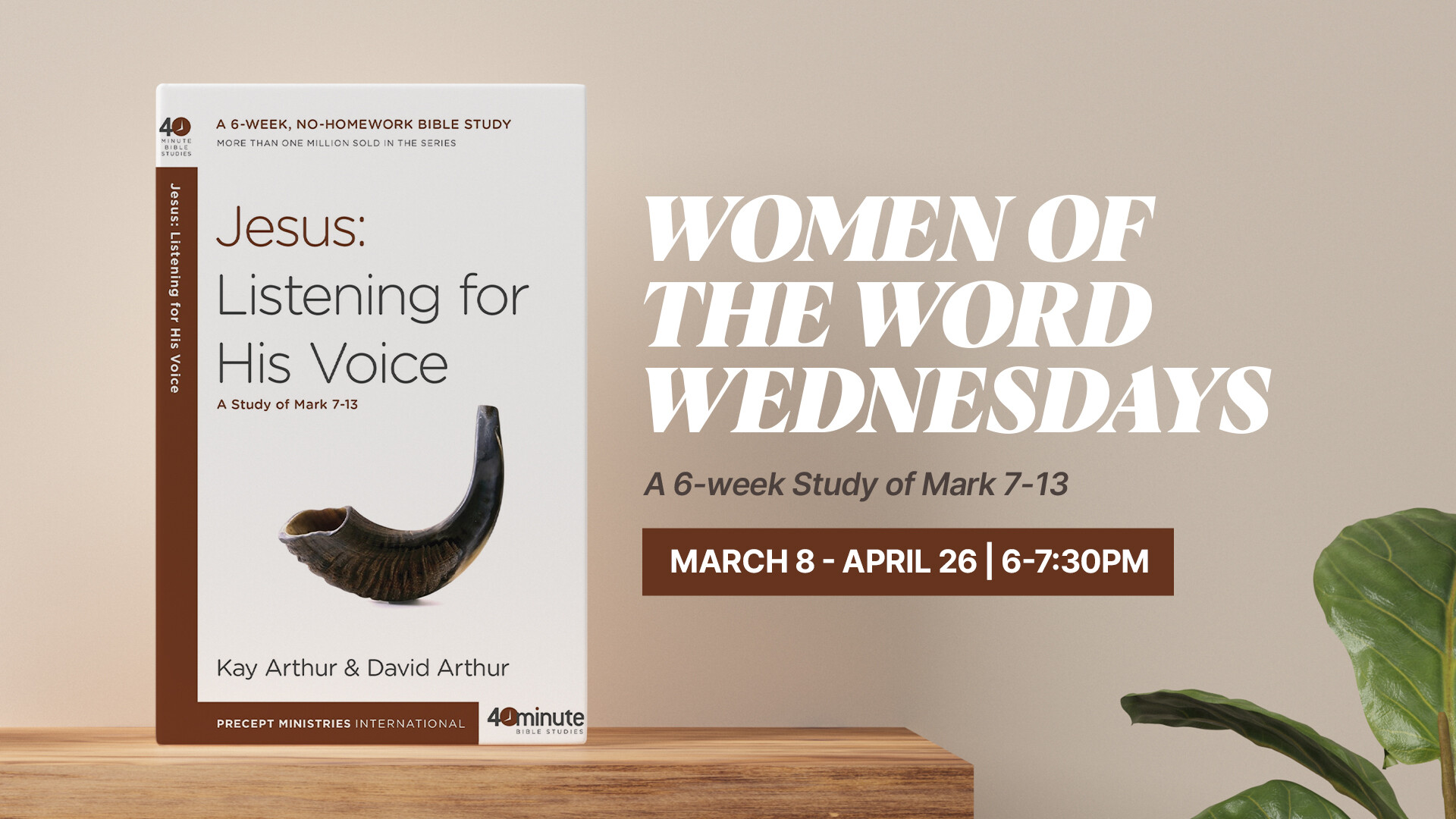 6 week women's bible study