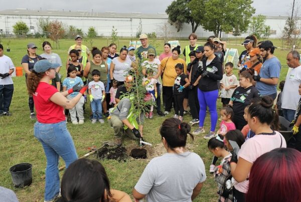 tree planting volunteer opportunities