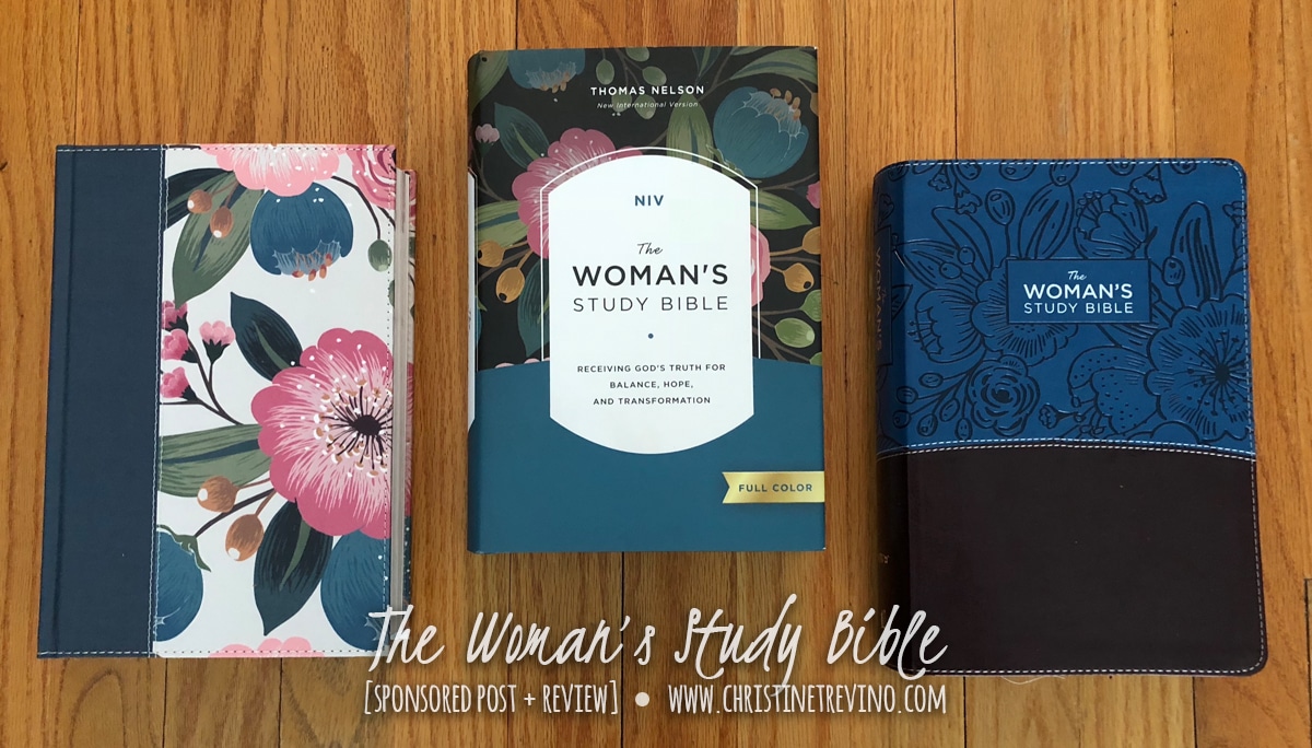 best women's bible study for beginners
