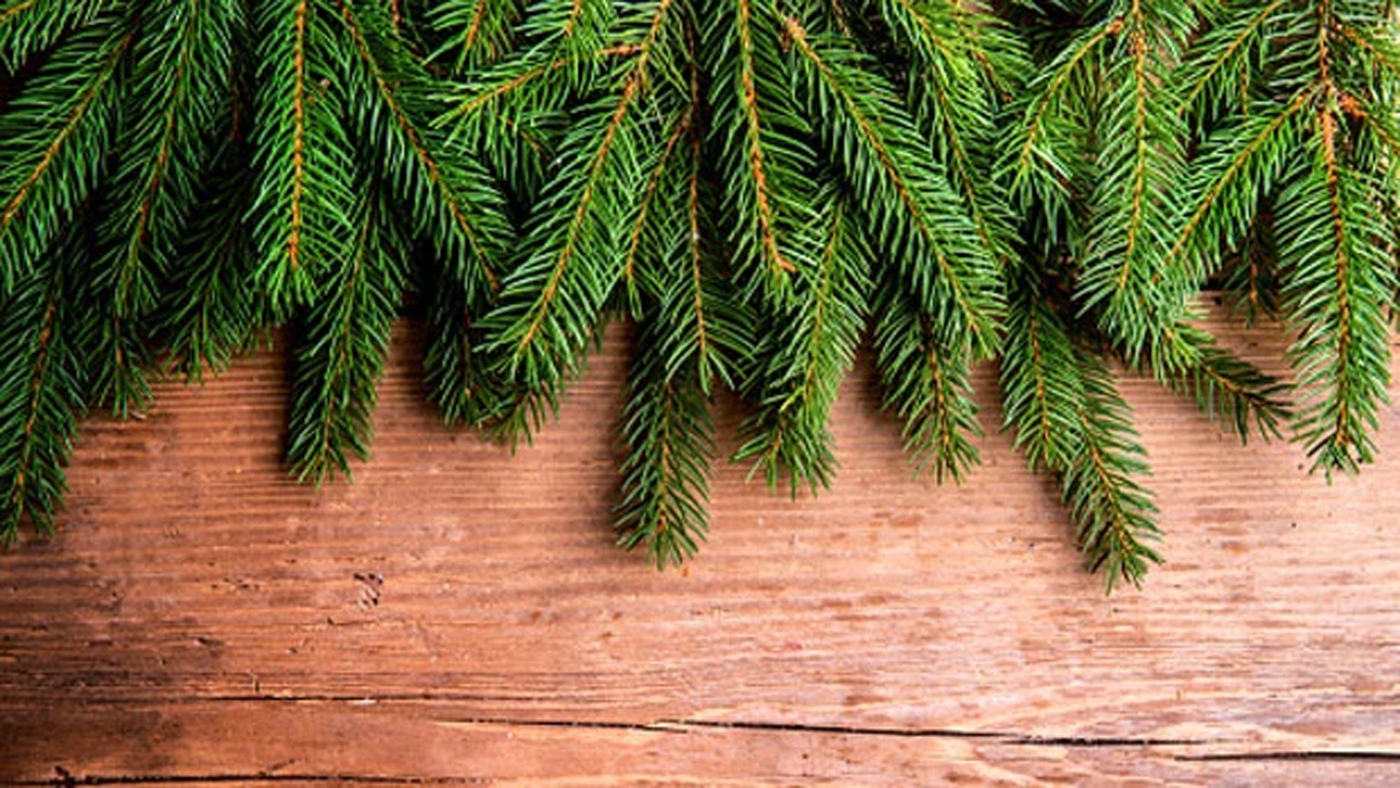 christmas bible study for ladies