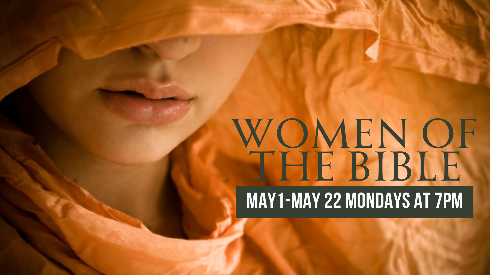 women's bible study fellowship