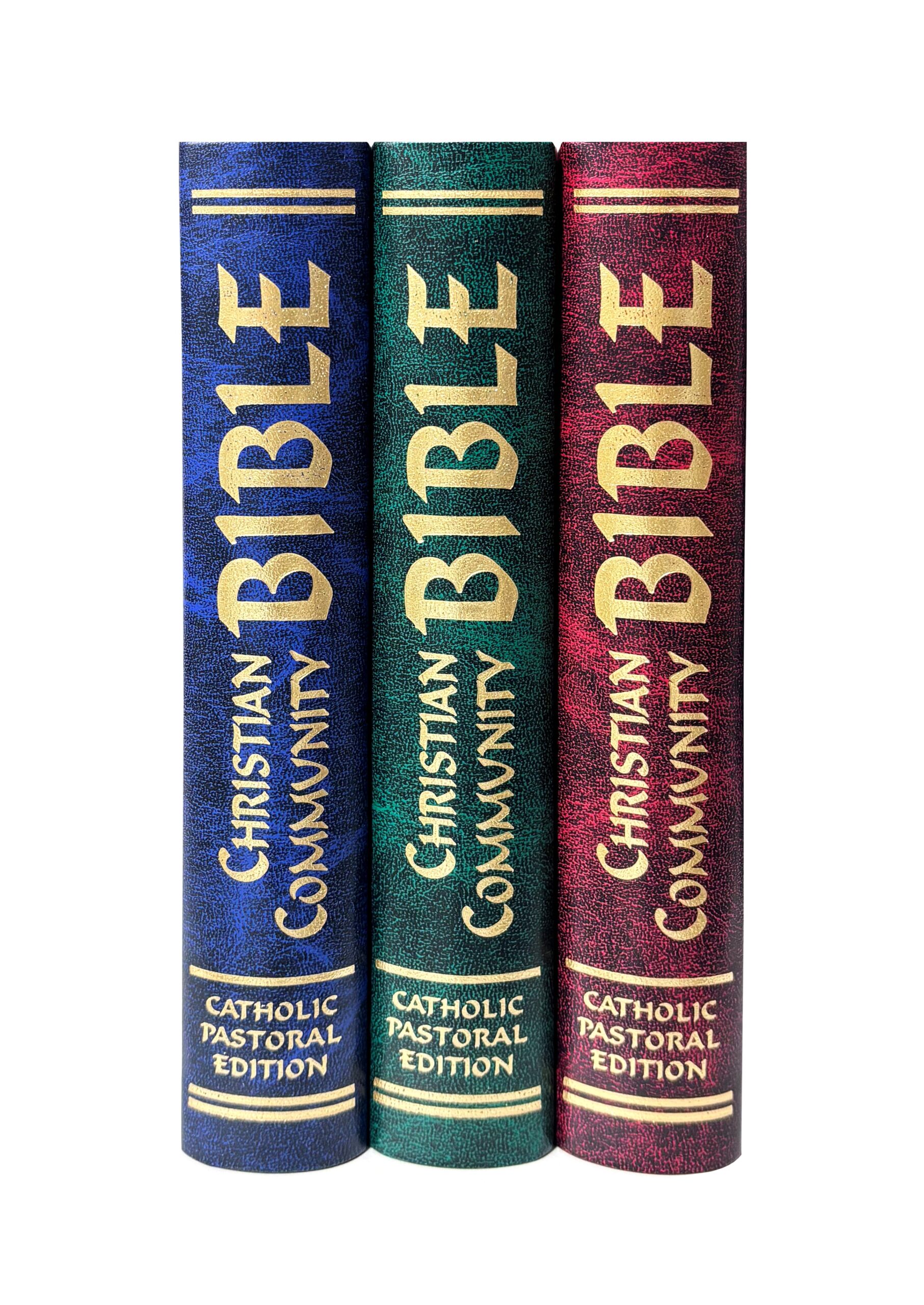 community bible study materials