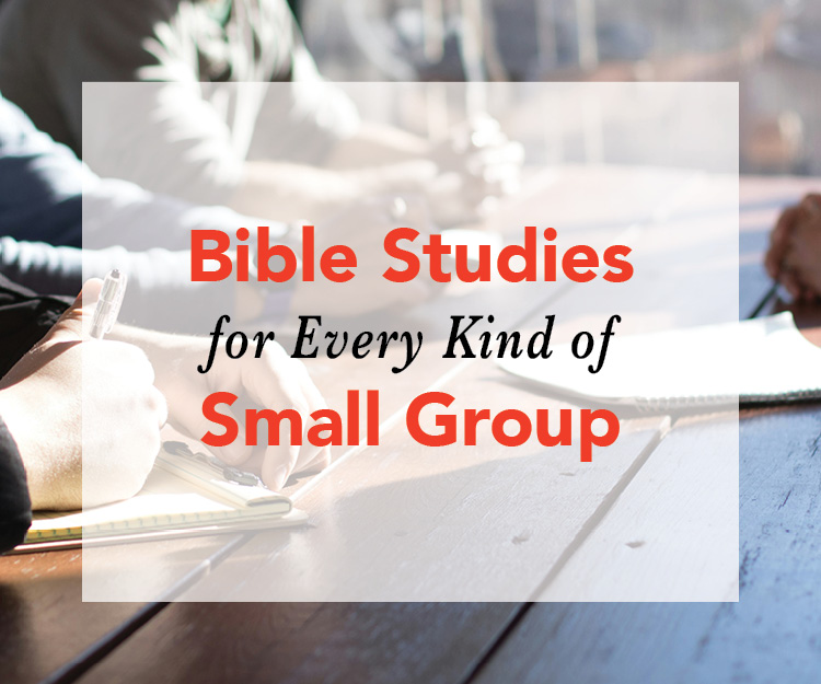 fun bible studies for small groups