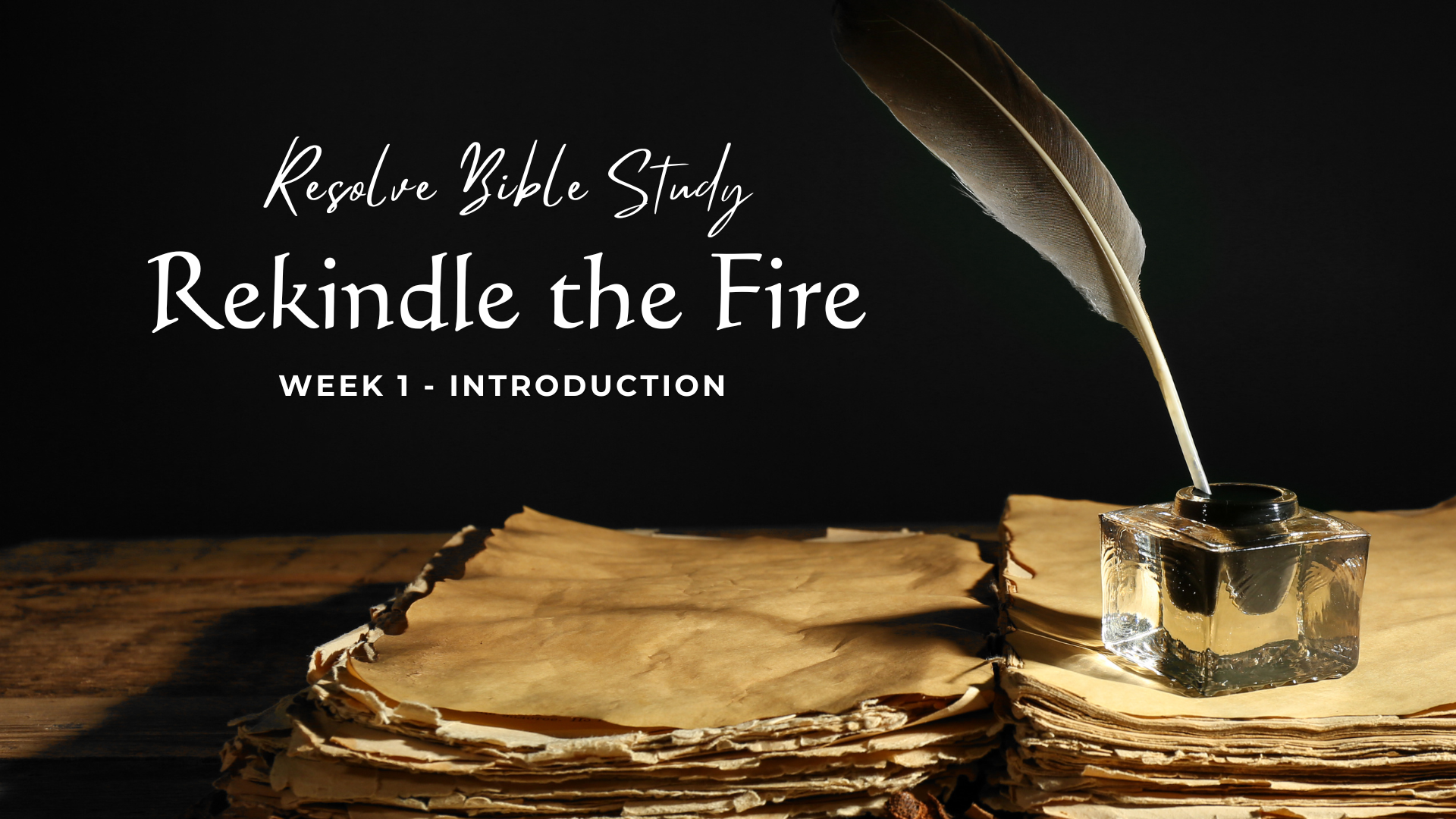 women's bible study 2023