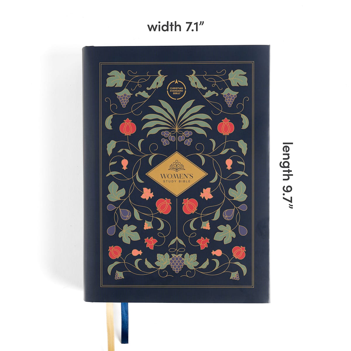 international women's bible study