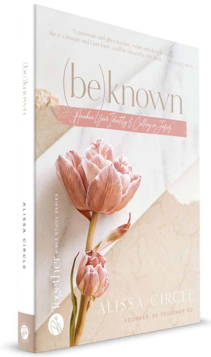 the circle maker bible study