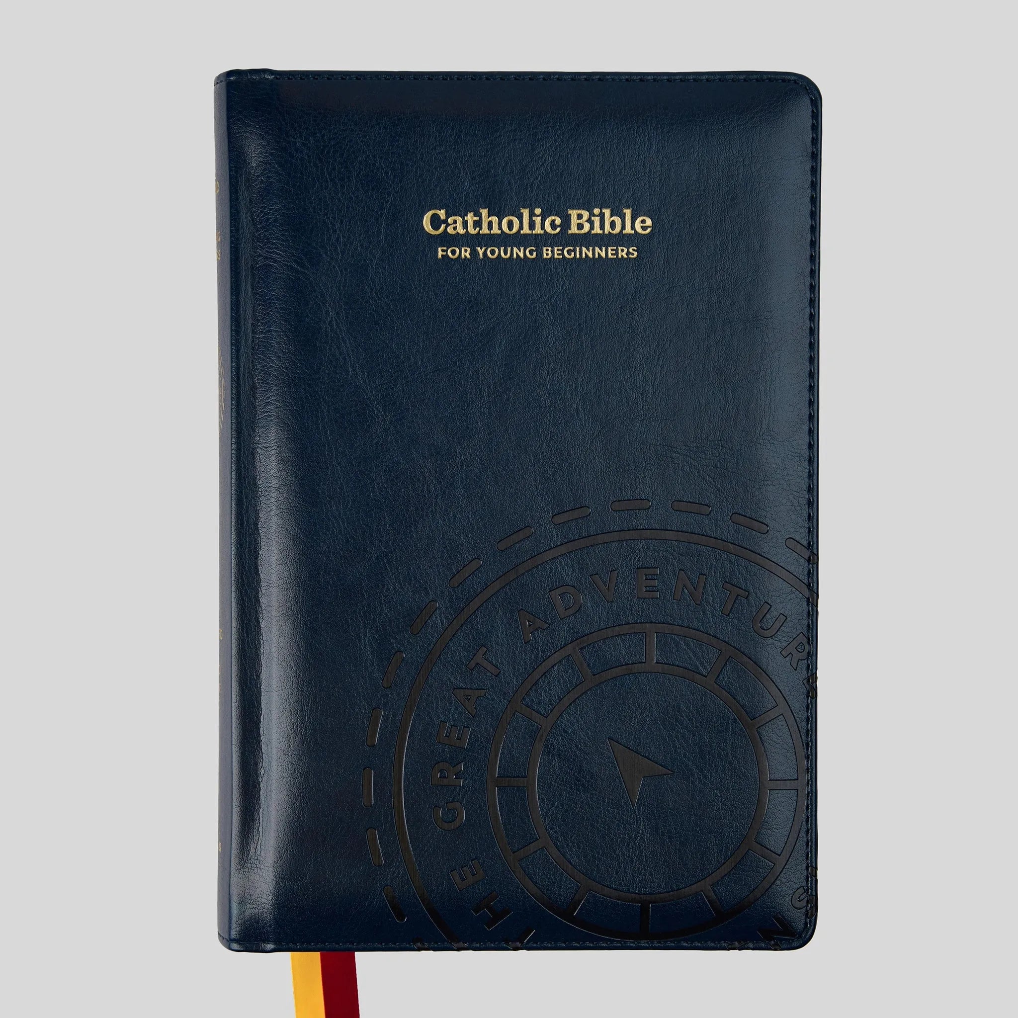catholic youth bible study lessons